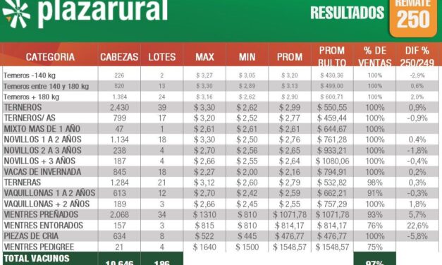 Plaza Rural vendió 10.646 vacunos