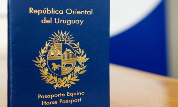 Nuevo pasaporte único para caballos