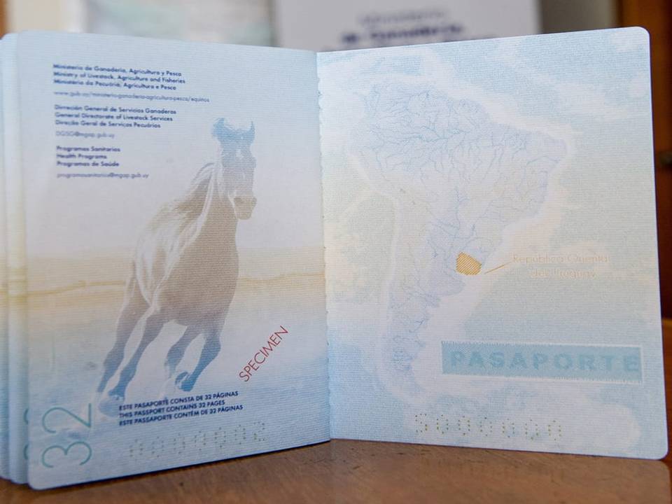 imagen del nuevo pasaporte único para caballos 