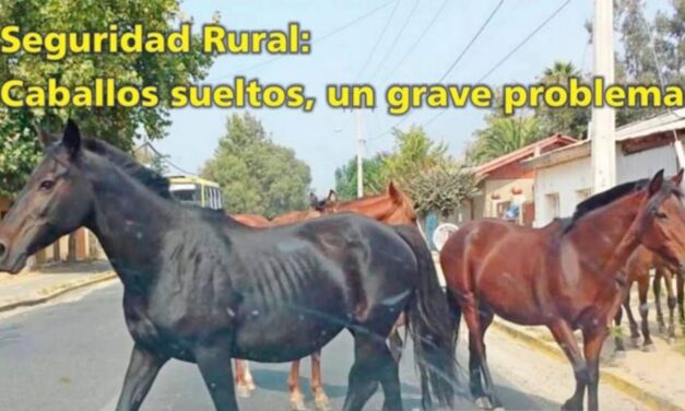 Palenque Rural: Seguridad Rural