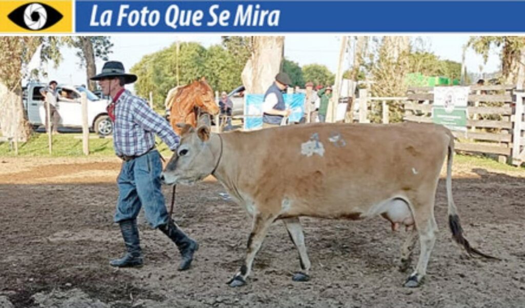 imagen de la foto que se mira, paisando llevando de tiro una vaca lechera