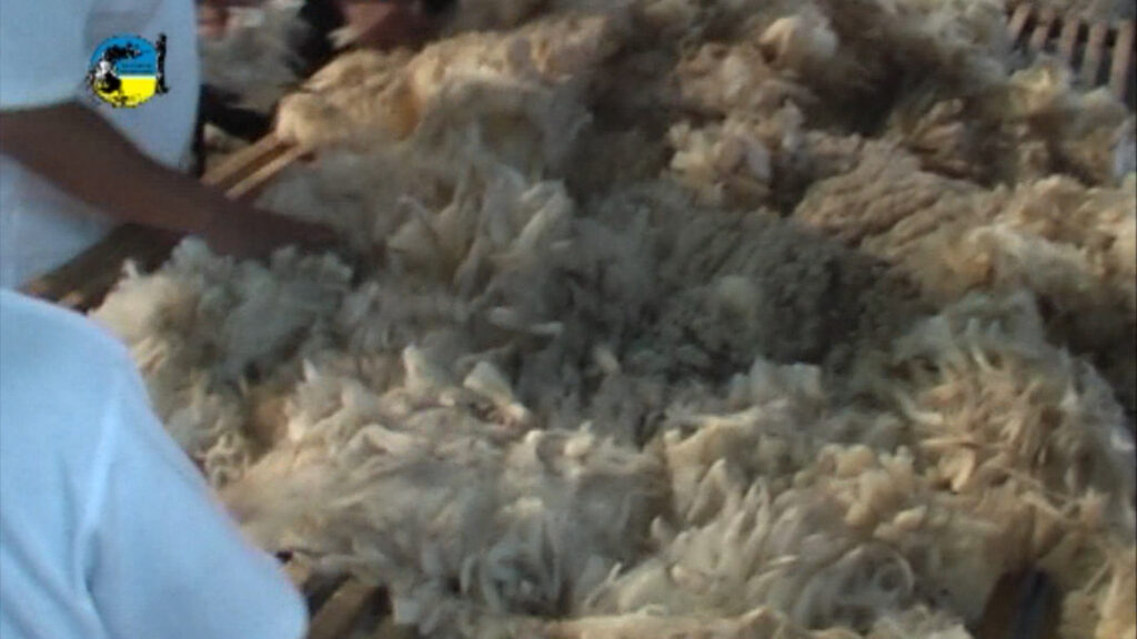 imagen de lanas, venta de lana merino y corriedale 