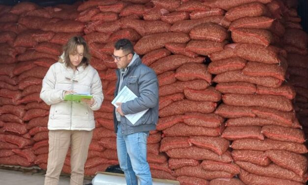 Exportación de maní a Chile