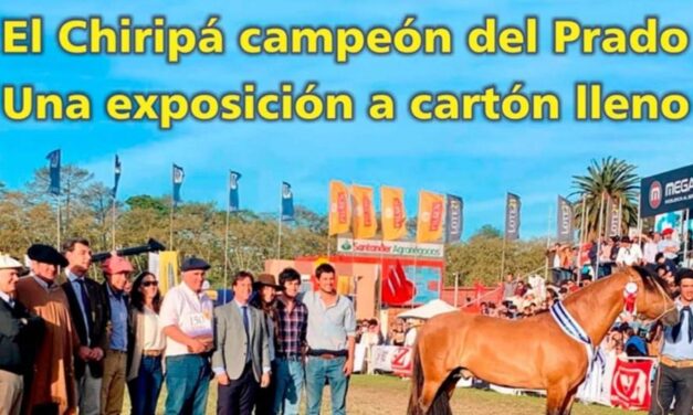 Palenque Rural: El Chiripá campeón del Prado