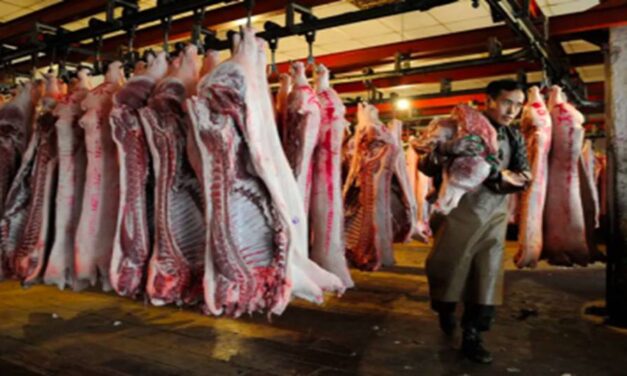 China liberará reservas de carne de cerdo