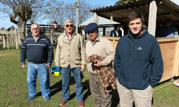 Paso Casildo: Vendió 700 piezas de cría lanares