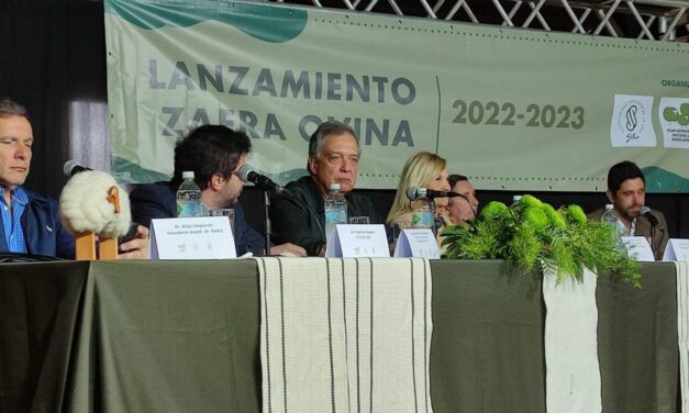 Zafra Ovina 2022-2023 en Rocha
