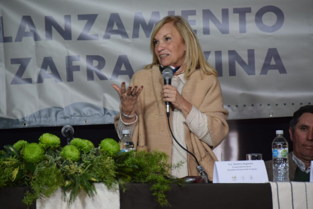 imagen dela vice presidenta beatriz argimón 
