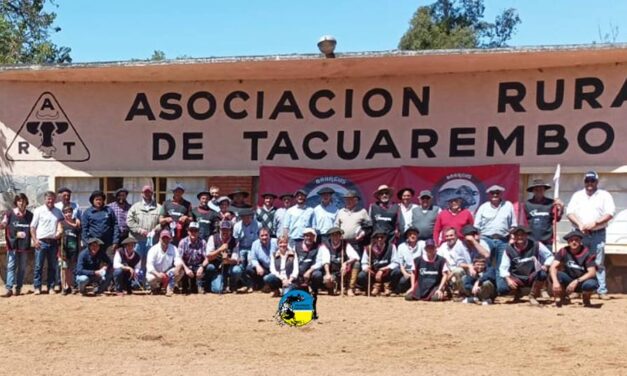 Excelente Nacional Brangus
