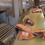Para 2027 habrá menos producción y menos exportaciones de carne