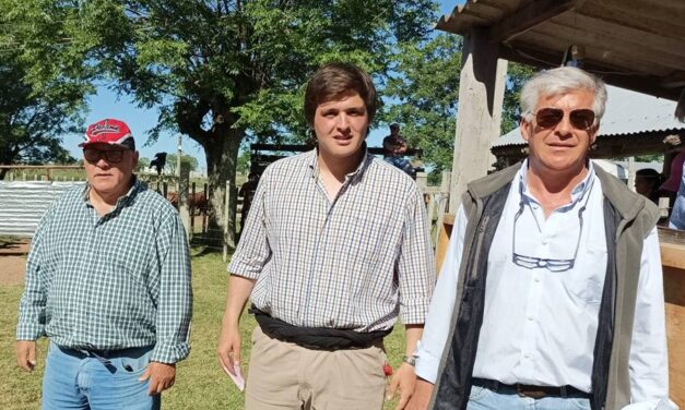 Paso Casildo: Al ritmo del nuevo mercado