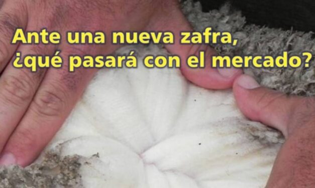 Palenque Rural: ante una nueva zafra
