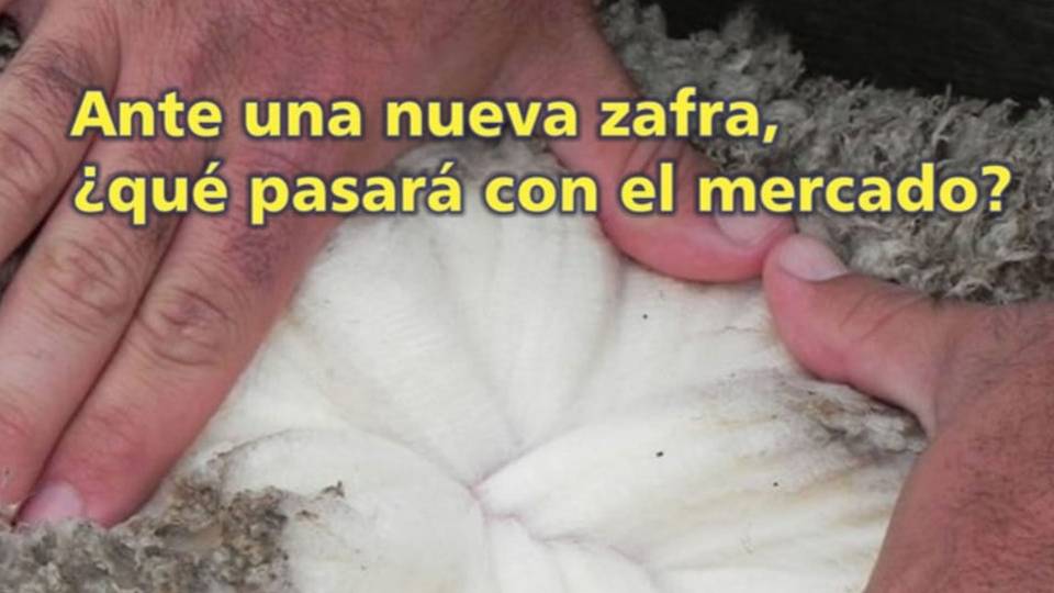 Palenque Rural: ante una nueva zafra