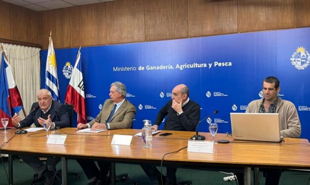 Puesta a punto sobre Brucelosis Bovina