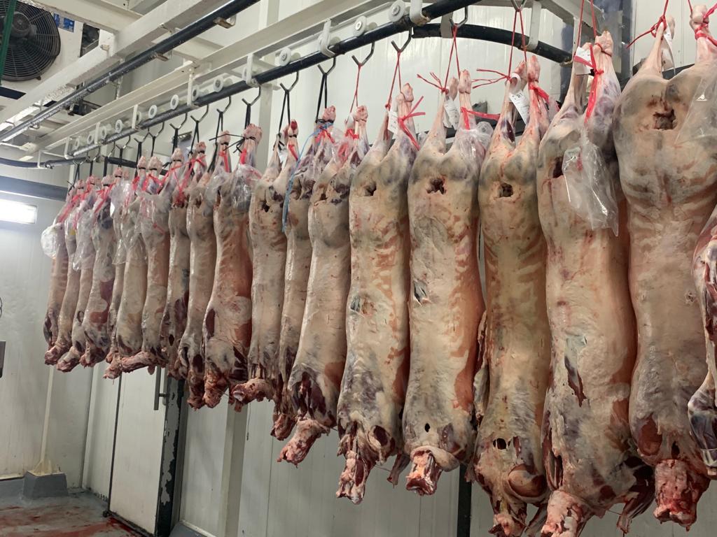 IMAGEN DE CARNE OVINA