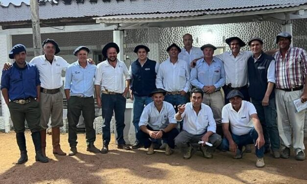 Remate de Etiqueta Angus en Ansina