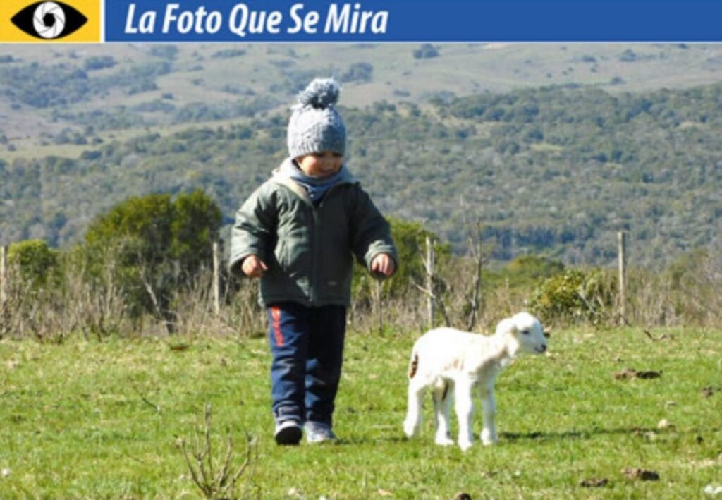 LA FOTO QUE SE MIRA, UN NIÑO LLEVANDO UN CORDERO CON UNA CORREA EN EL CAMPO