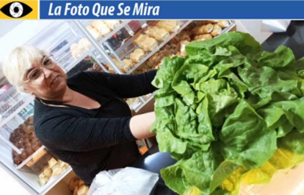 imagen de la foto que se mira, señora con una lechuga gigante 