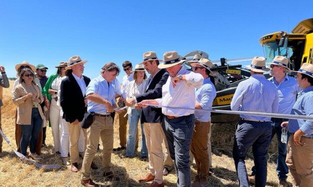 Se inauguró Cosecha de Trigo 2022