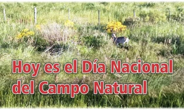 Palenque Rural: Día Nacional del Campo Natural