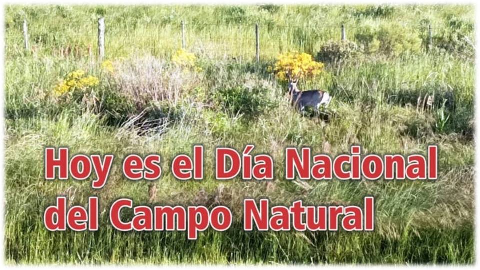 Palenque Rural: Día Nacional del Campo Natural
