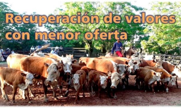 Palenque Rural: recuperación de valores