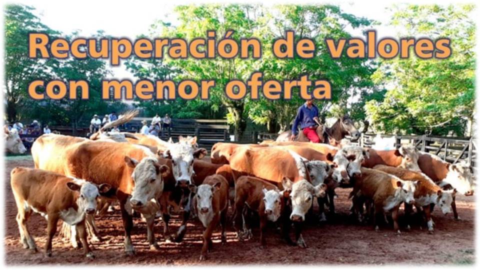Palenque Rural: recuperación de valores