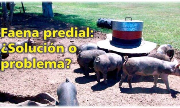 Palenque Rural: faena predial