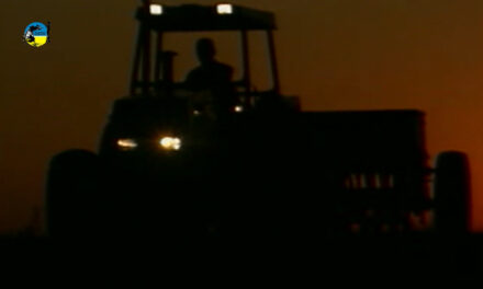 Agricultores aprovecharon días sin lluvia para acelerar la siembra