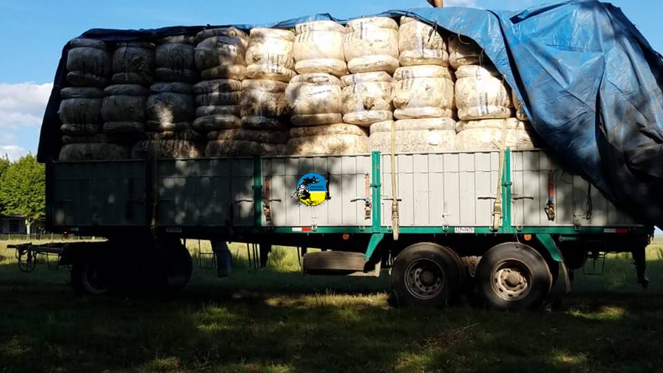 imagen de camión cargado con fardos de lana, se realizaron negocios de lana en el mercado local 