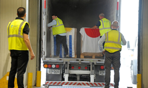 Primer embarque de lengua bovina a Japón