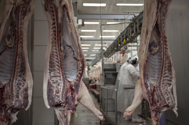 Argentina: carne de cerdo hacia Singapur