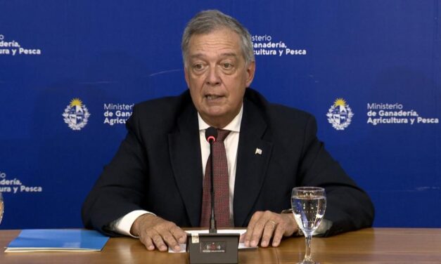 Ganadería confirmó récord de exportaciones