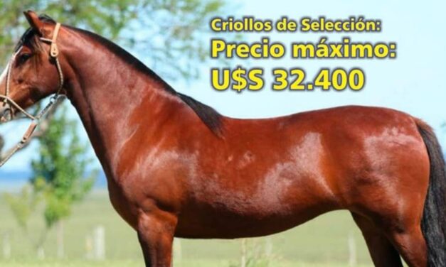 Palenque Rural: Criollos de Selección