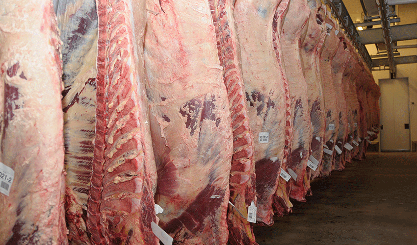 Carne Bovina a U$S 4.102 la tonelada