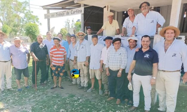 Curtina: Buenos precios con buenos ganados