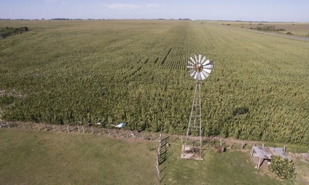 Proyecto mejora de seguros agrícolas