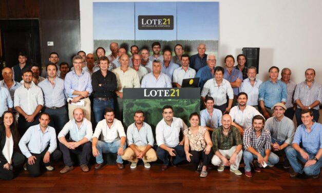 Lote 21 comercializó el 92.8% de la oferta