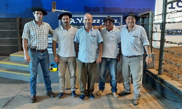 Don Tito presentó buenos ganados