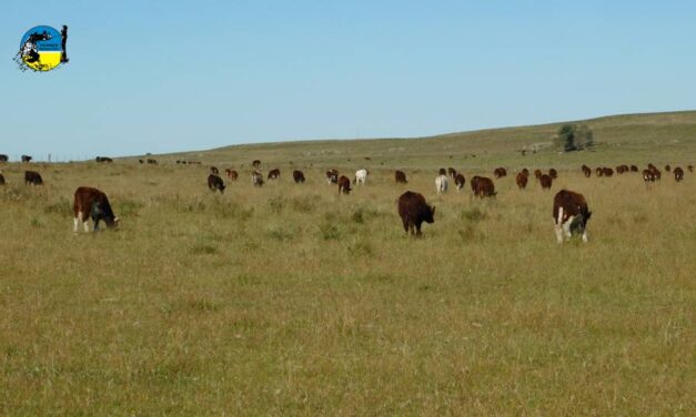 Pago de BPS rural se prorrogó