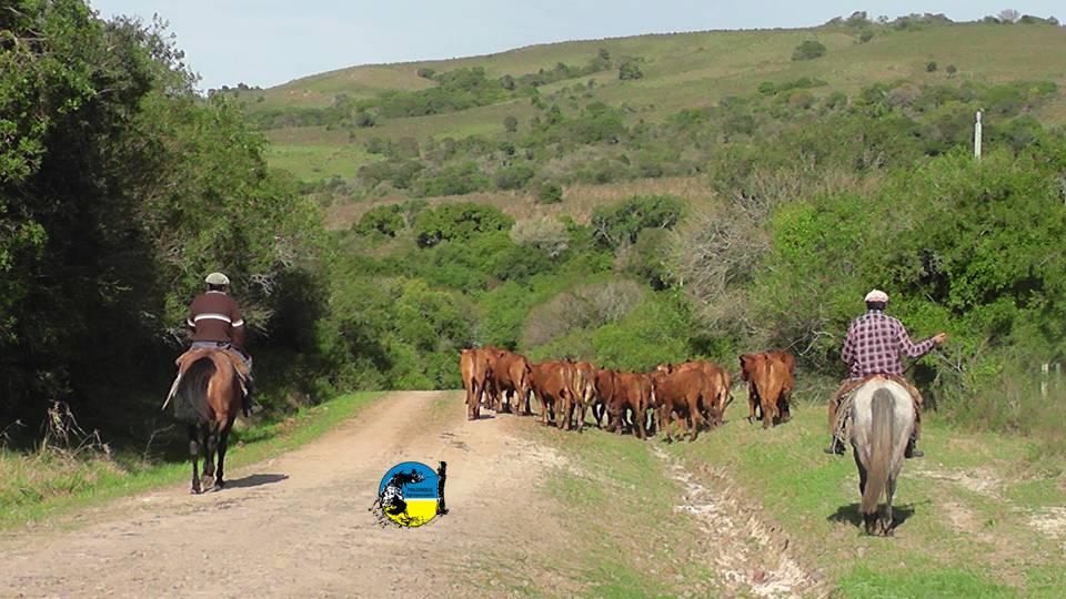 IMAGEN DE PERSONAL DE CAMPO TRABAJANDO, SALARIOS RURALES ENERO 2023 