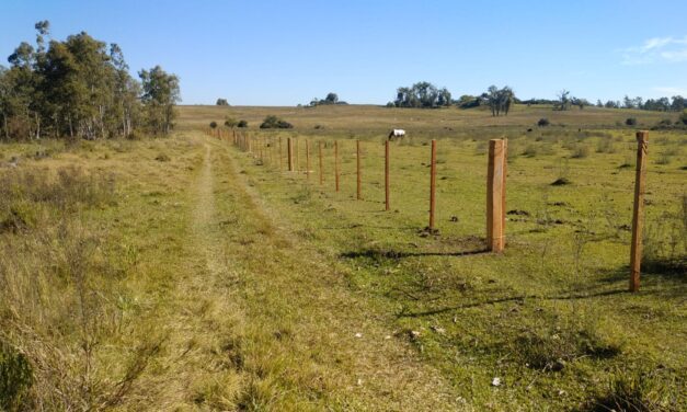 Contribución Rural: Salto retiró beneficios