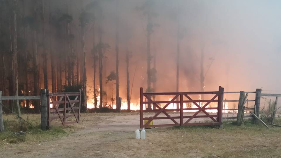 Riesgo actual y medidas ante incendios forestales
