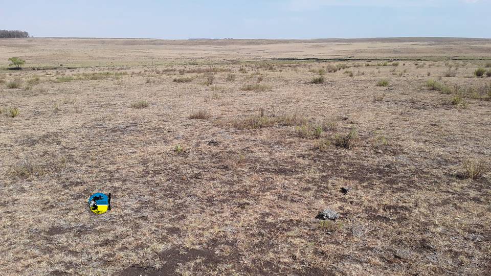 imagen de campo con sequía, MGAP EXTIENDE EMERGENCIA AGROPECUARIA POR 90 DÍAS