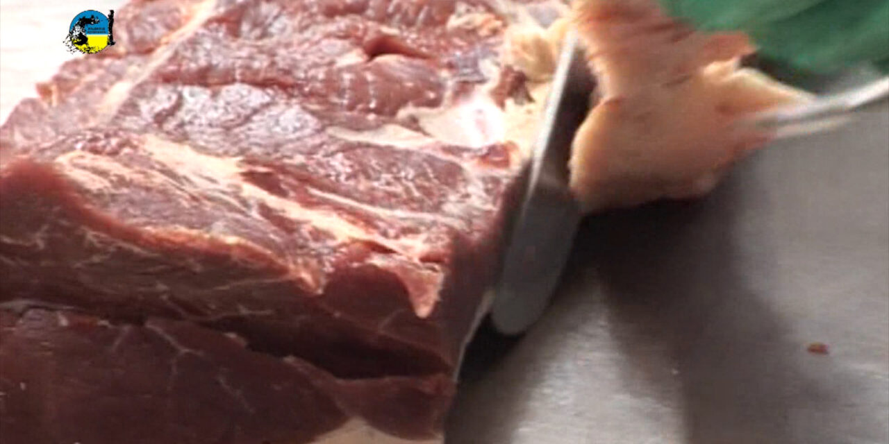 Tonelada de Carne Bovina alcanzó los U$S 4.070
