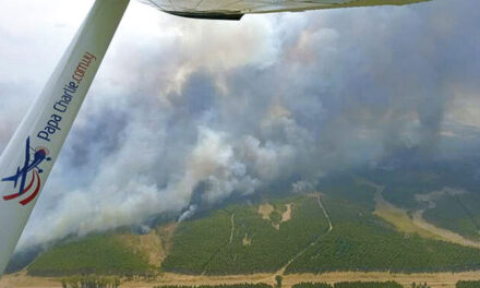 Incendio afectó 2.400 hectáreas en Río Negro