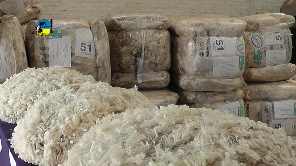 Menor concreción de negocios de lana