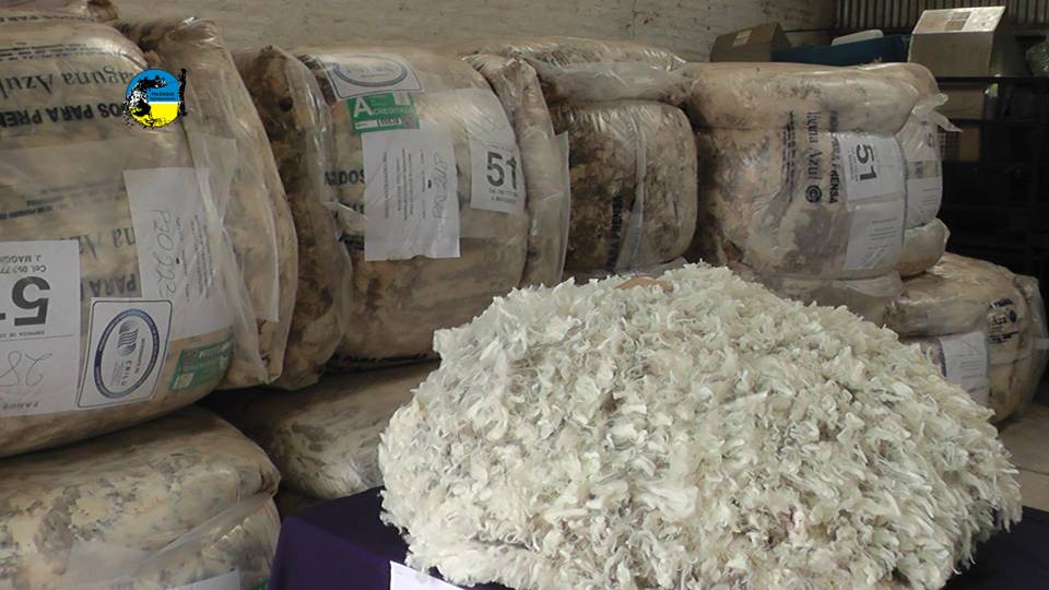 IMAGEN DE FARDOS DE LANA, MERCADO LANERO: IME SE TONIFICÓ