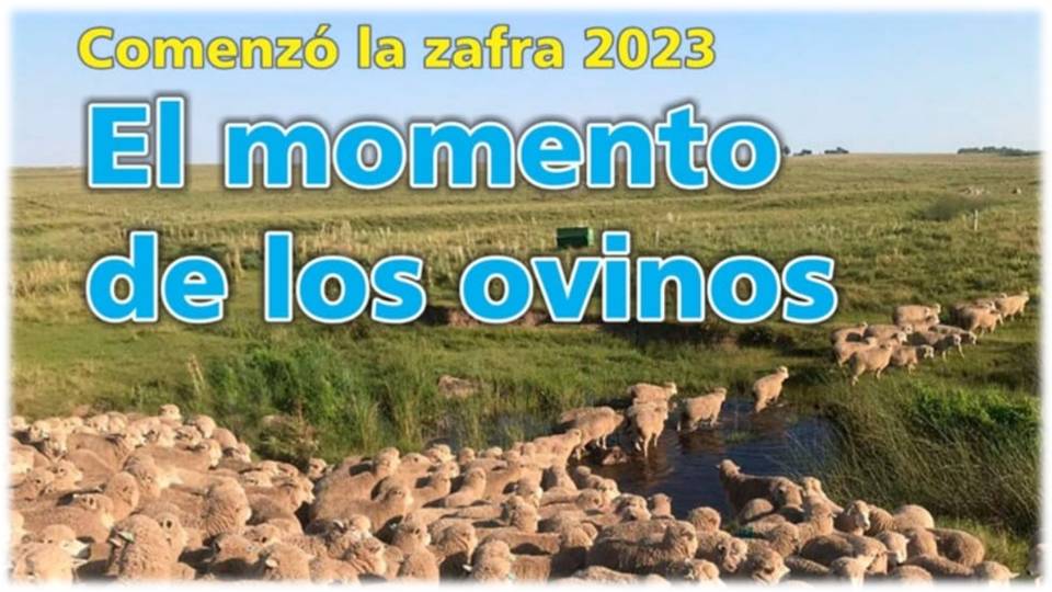 Palenque Rural: comenzó zafra de ovinos 2023