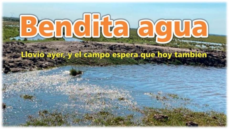 Palenque Rural: Bendita agua